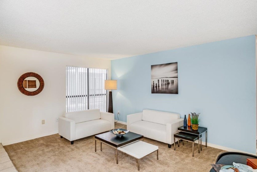 Boardwalk Apartments Gainesville Swamp Rentals